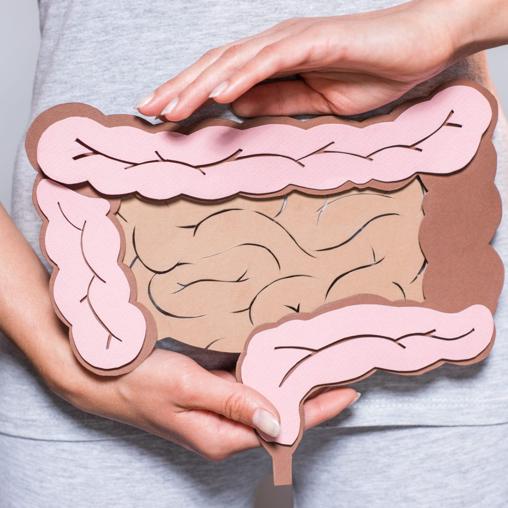 cirugía colorectal en Valencia - colon