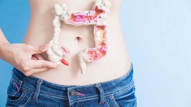 cirugía colorrectal en Valencia - modelo