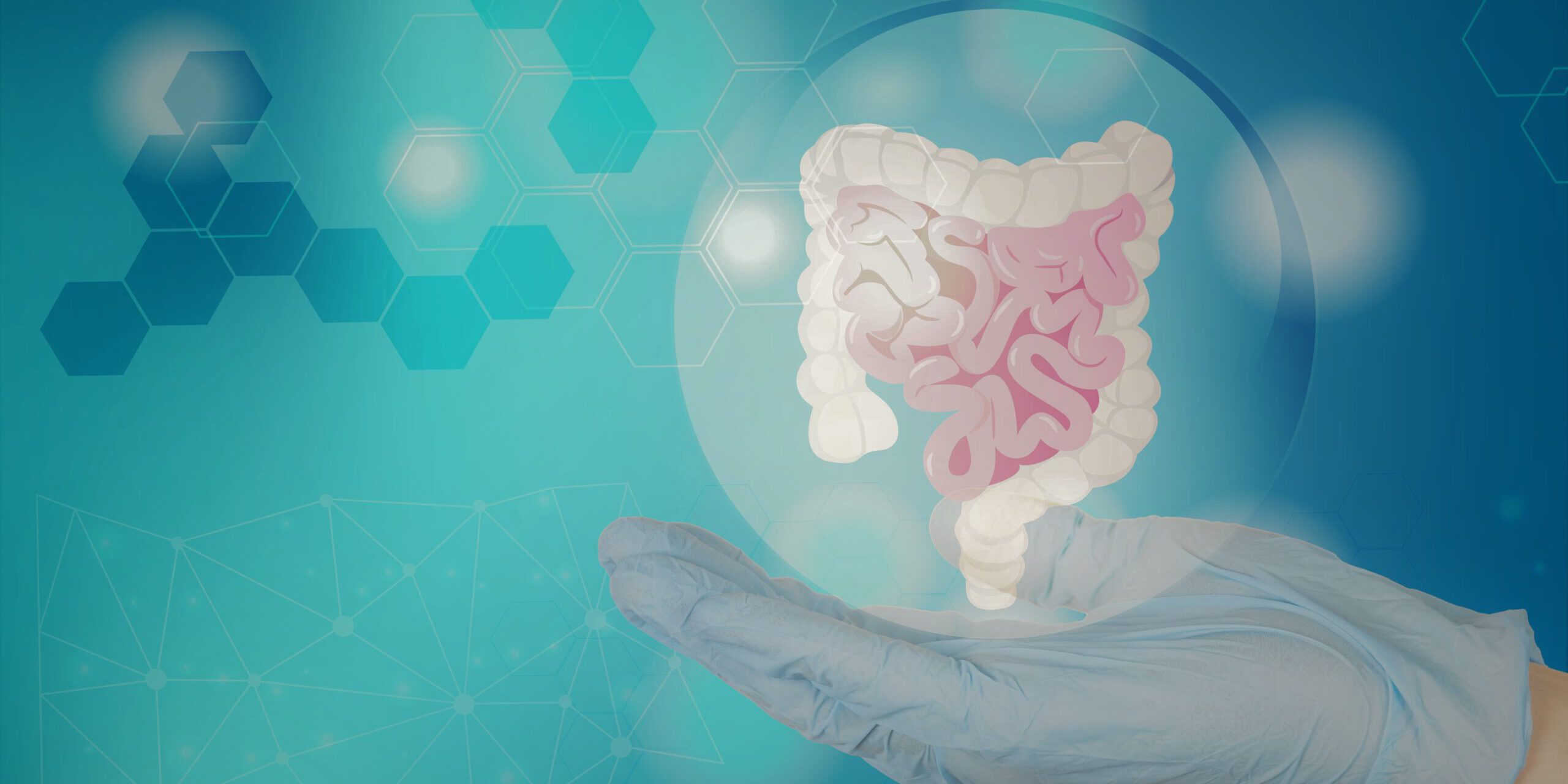 Enfermedades de colon en Valencia -Digestivo Enfermedades de colon en Valencia -Digestivo